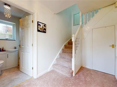 Picture 21